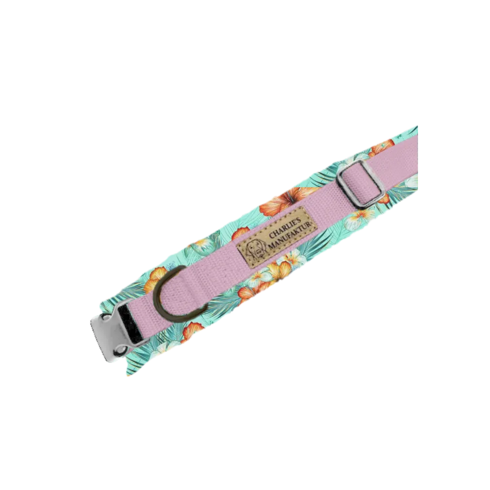 Konfigurator - Gurtbandhalsband