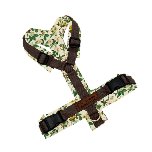 Konfigurator - Y-Geschirr