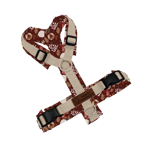 Konfigurator - Y-Geschirr