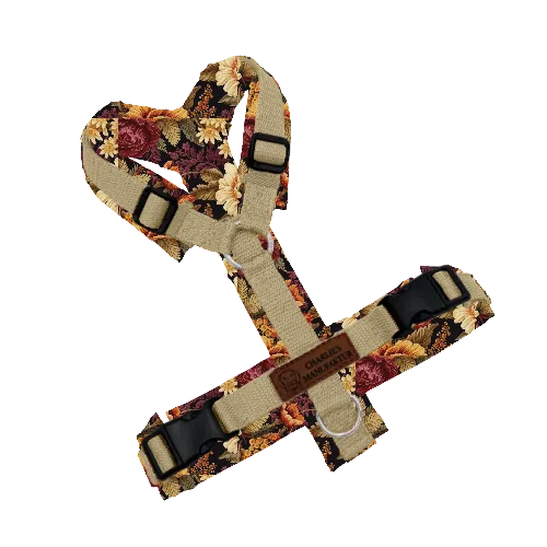 Konfigurator - Y-Geschirr