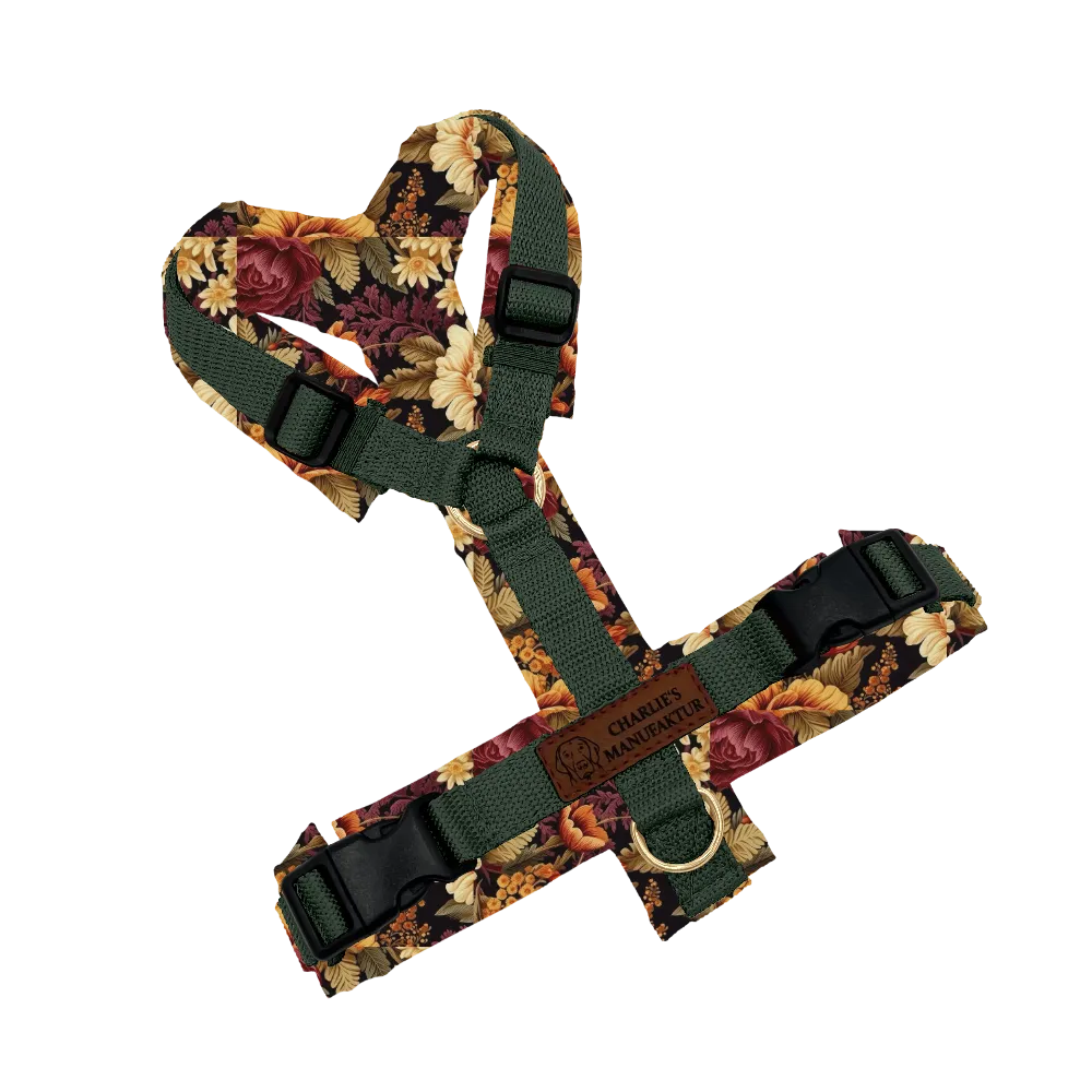 Konfigurator - Y-Geschirr