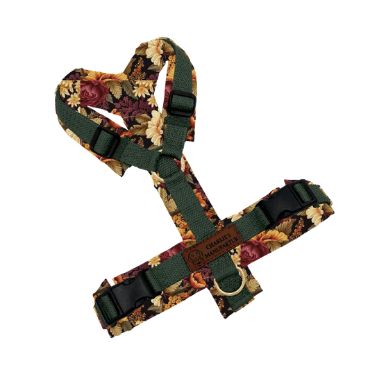 Konfigurator - Y-Geschirr