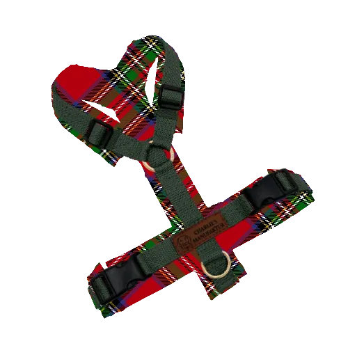 Konfigurator - Y-Geschirr