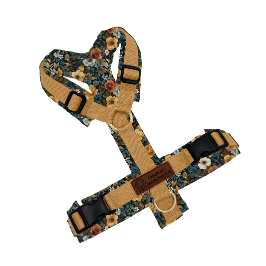 Konfigurator - Y-Geschirr