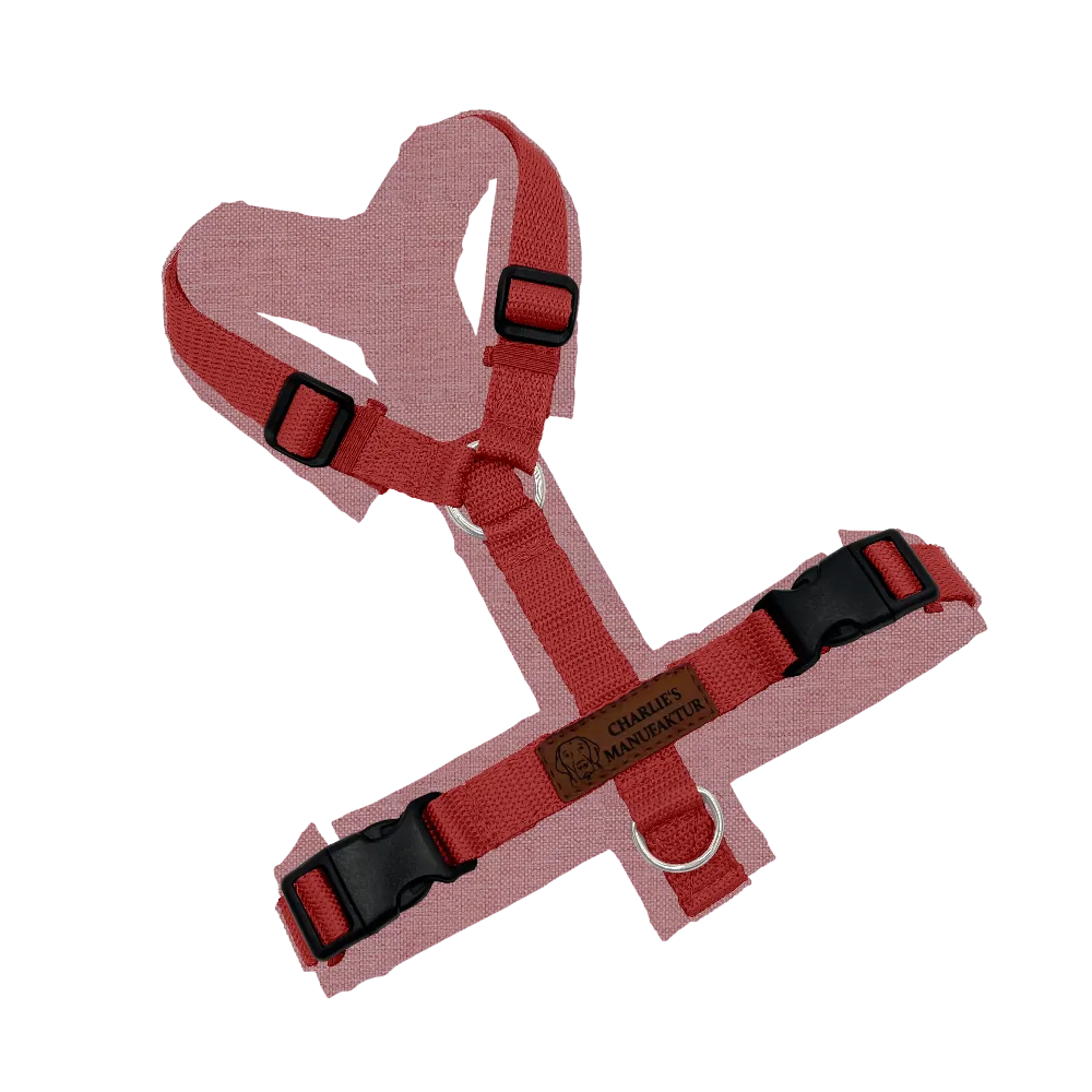 Konfigurator - Y-Geschirr