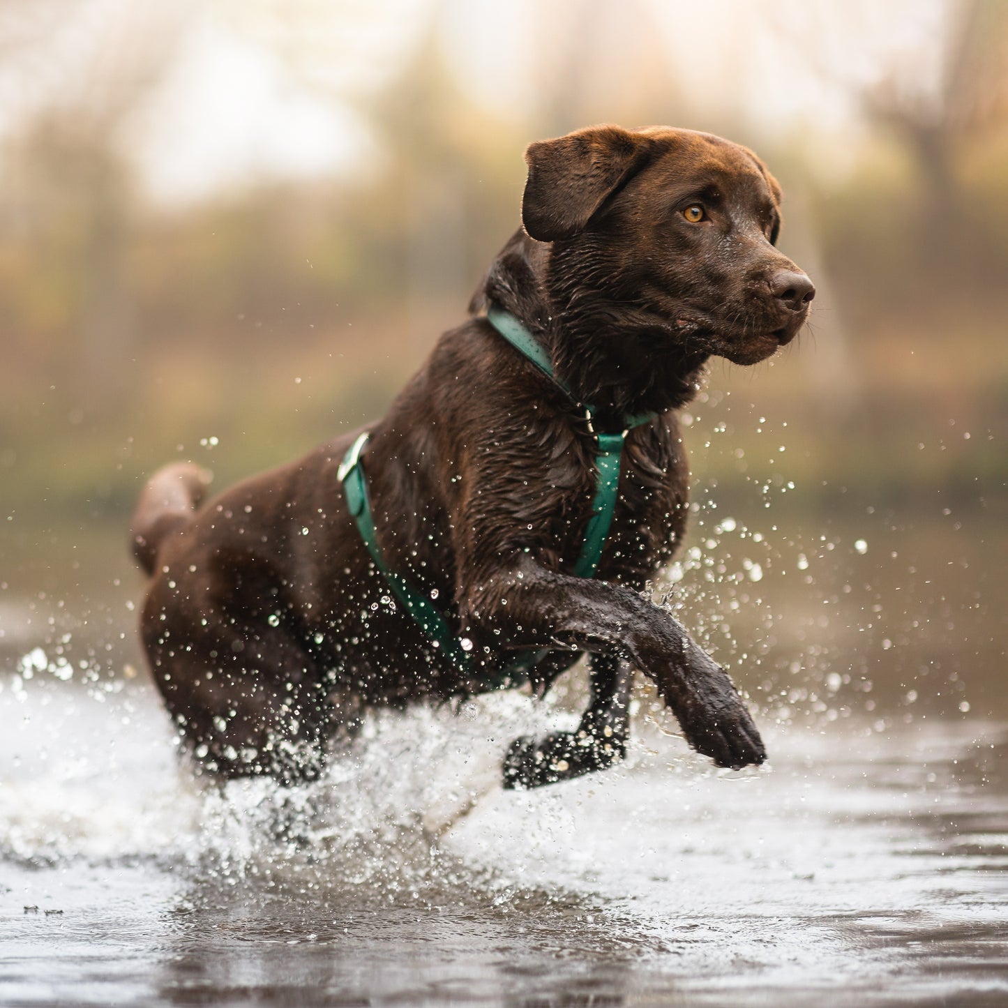 -25% AKTION Biothanegeschirre